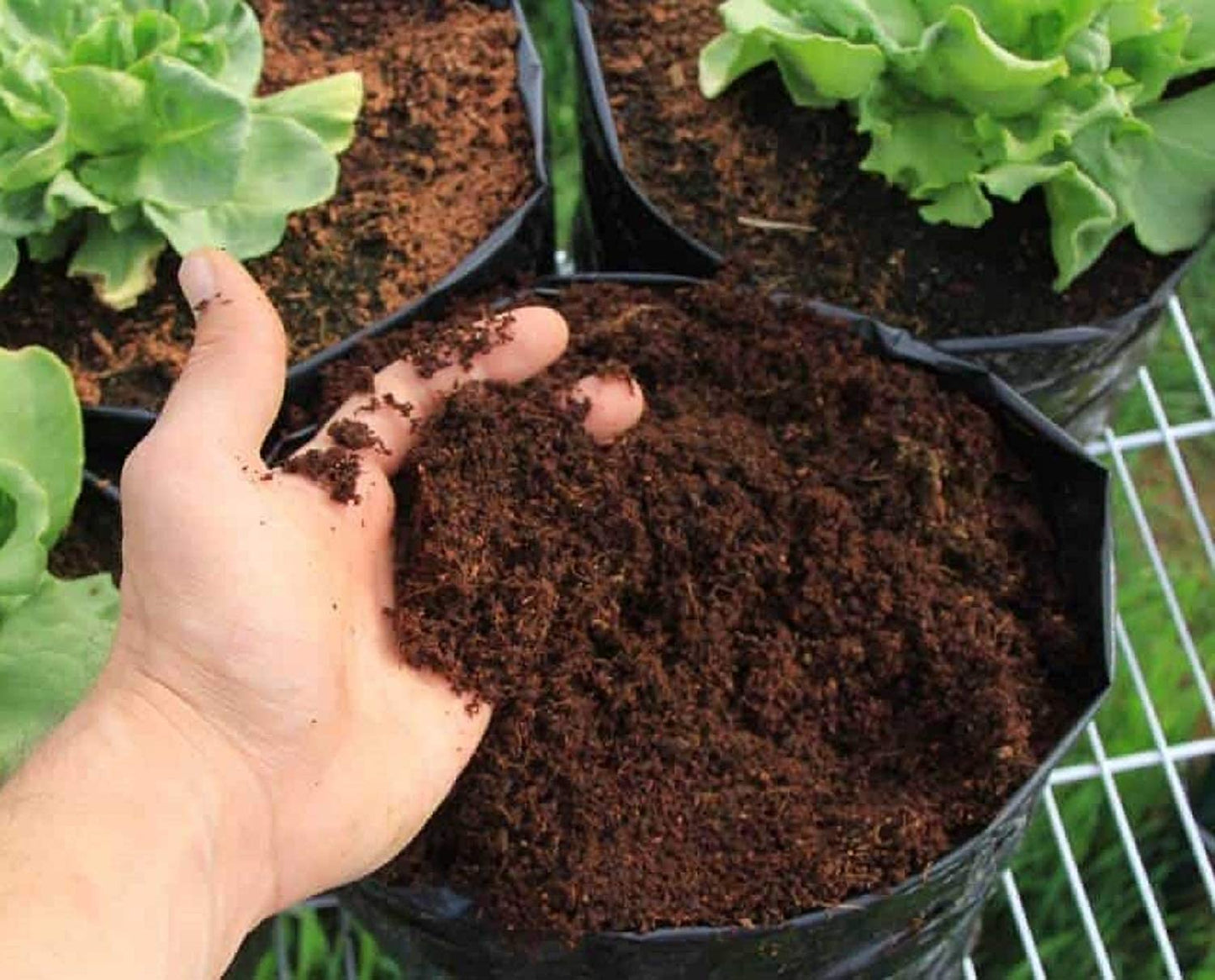 Sushila Agrofert's Cocopeat Cocopit Block 650 Grams for Garden- Expands to 4 Kg Powder