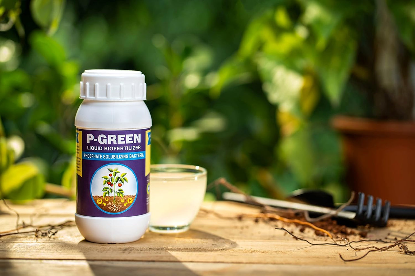 P GREEN: Phosphate Solubilizing Bacteria, Plant Growth Stimulator
