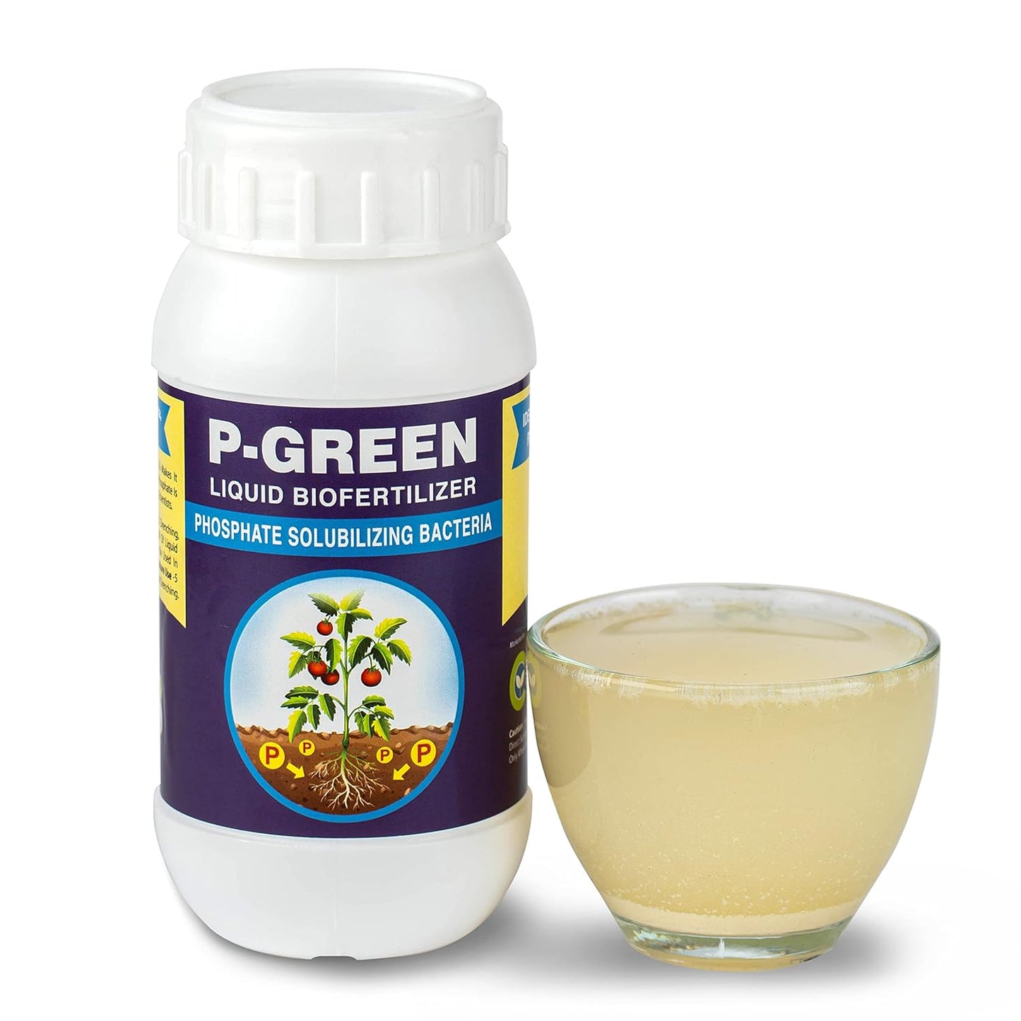 P GREEN: Phosphate Solubilizing Bacteria, Plant Growth Stimulator