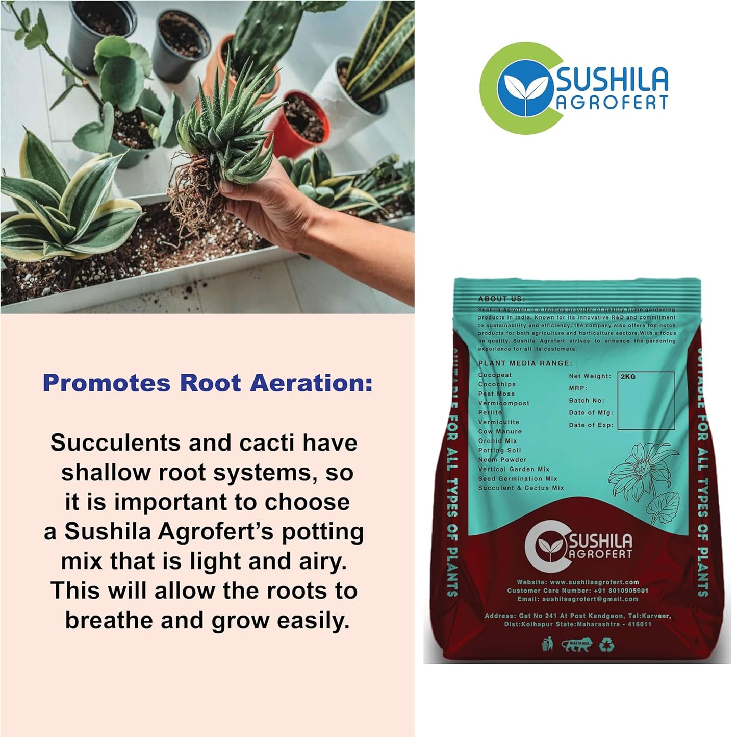 Succulent & Cactus Potting Mix 3Kg