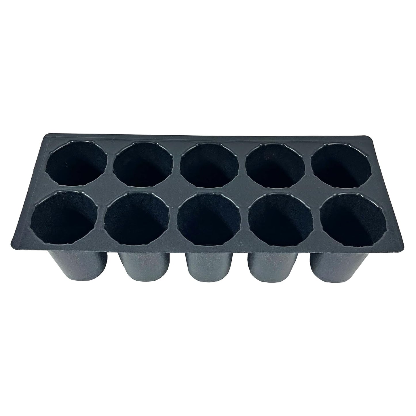 Seed Germination Trays: 10 Cavity Big Size