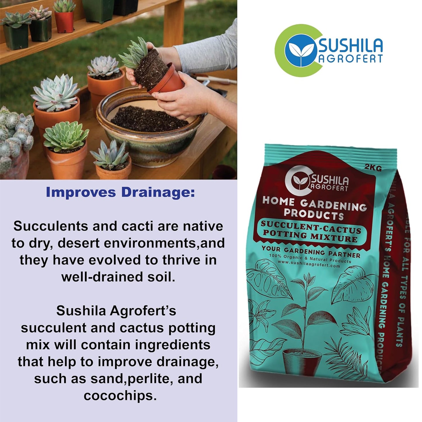 Succulent & Cactus Potting Mix 3Kg