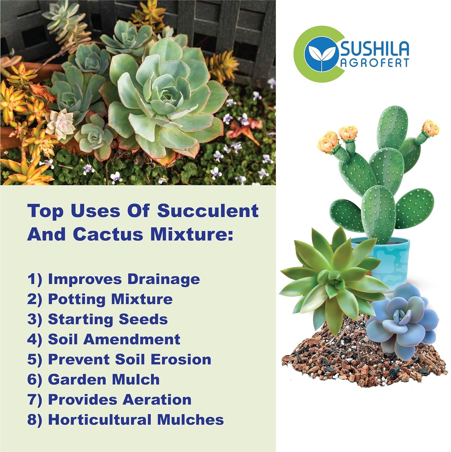 Succulent & Cactus Potting Mix 3Kg