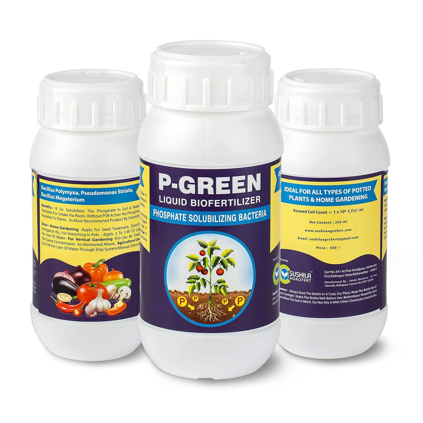 P GREEN: Phosphate Solubilizing Bacteria, Plant Growth Stimulator