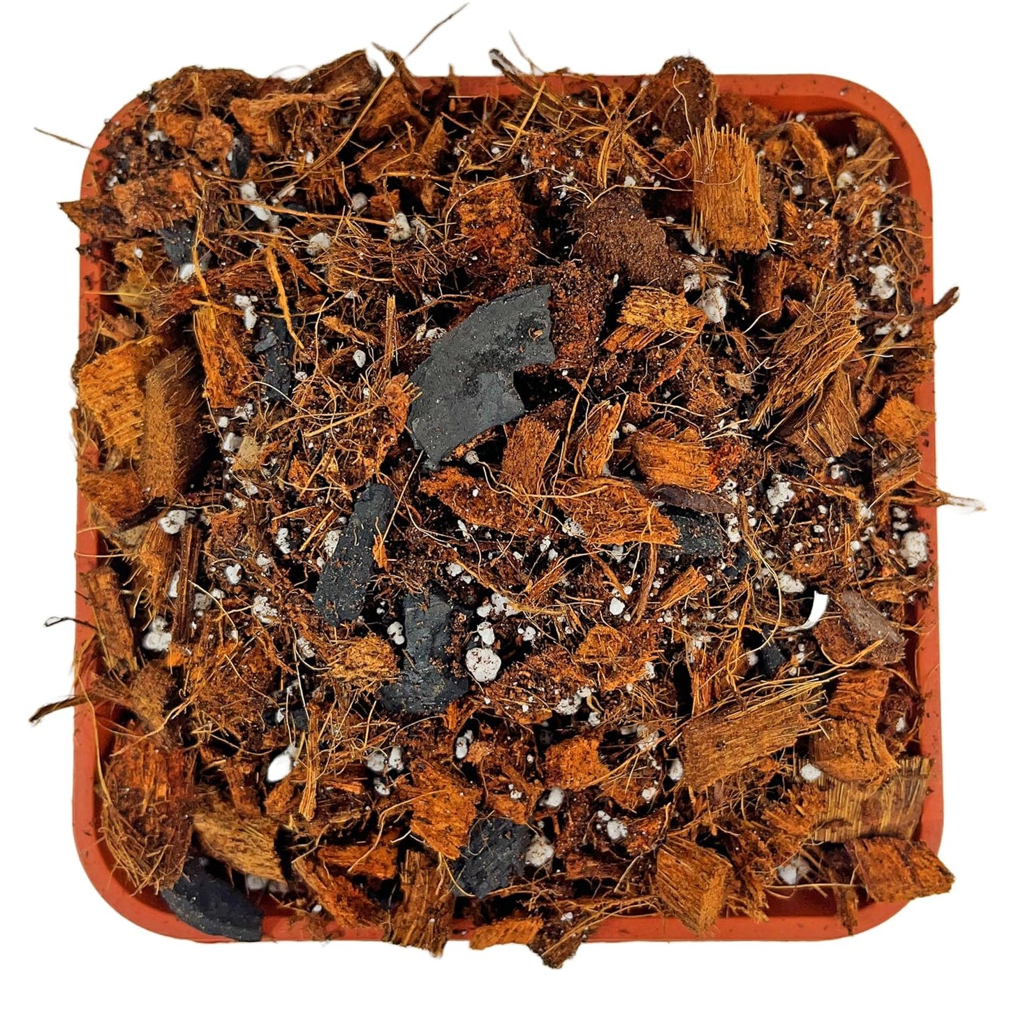 Succulent & Cactus Potting Mix 3Kg