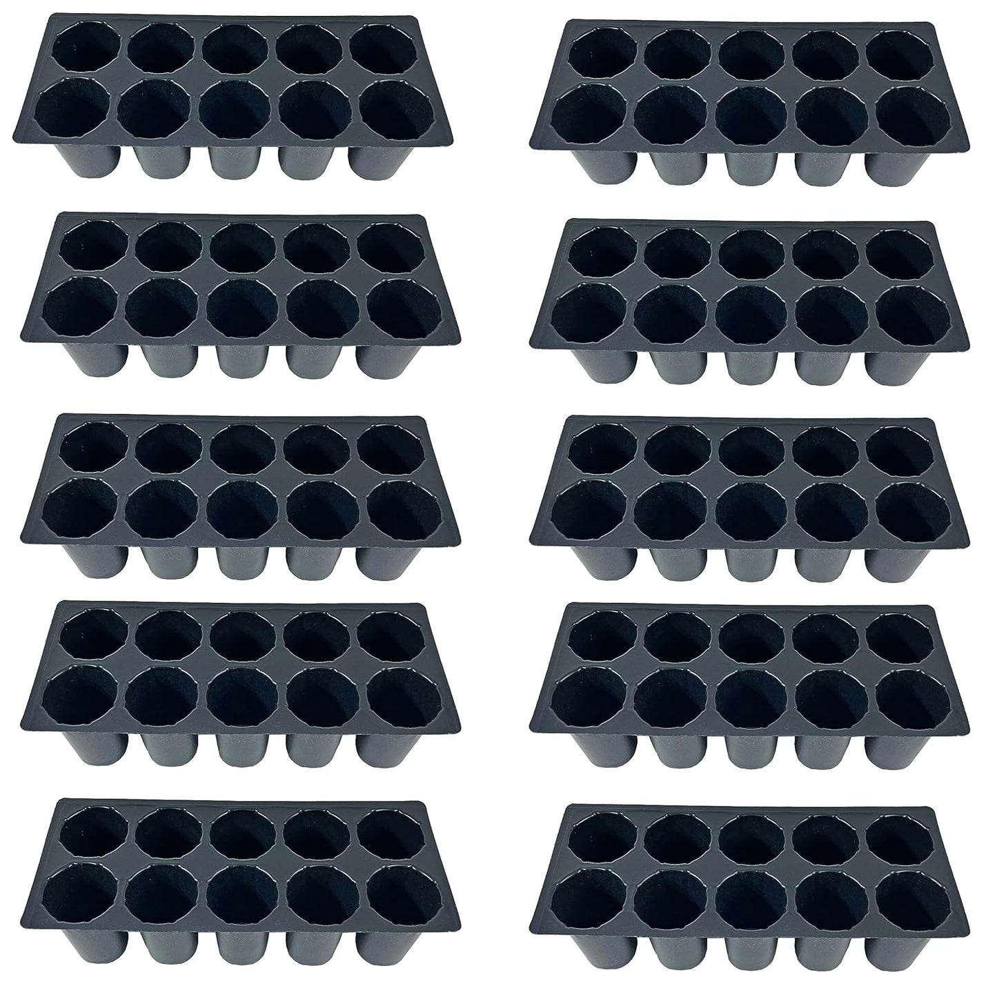 Seed Germination Trays: 10 Cavity Big Size