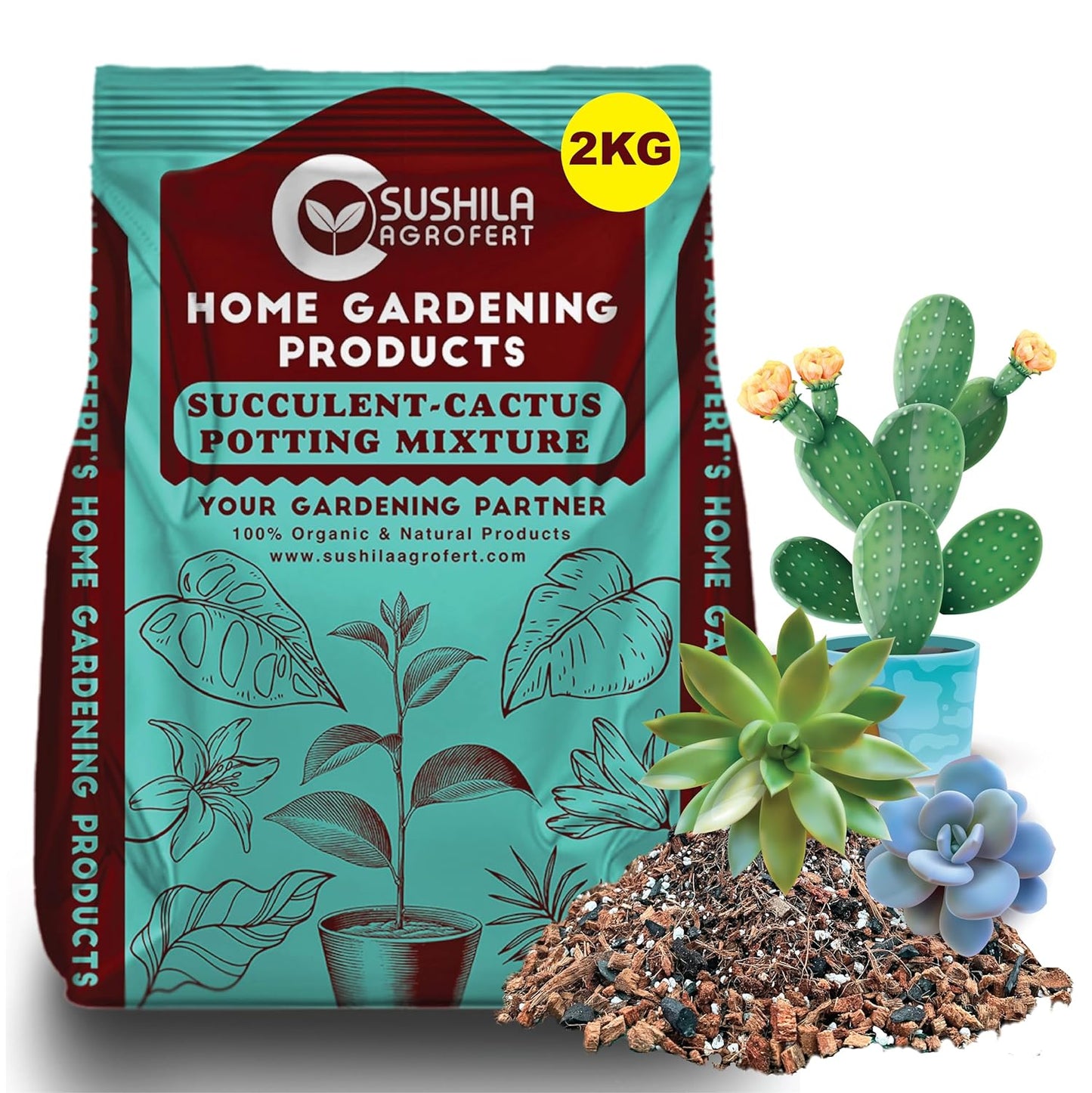 Succulent & Cactus Potting Mix 3Kg