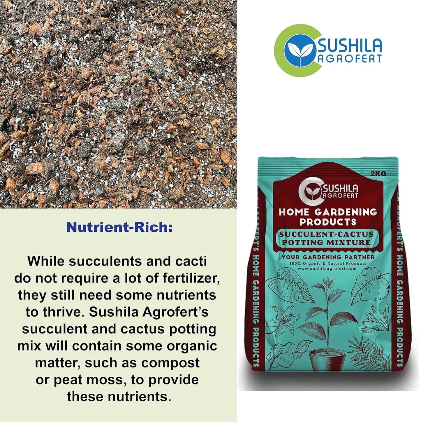 Succulent & Cactus Potting Mix 3Kg