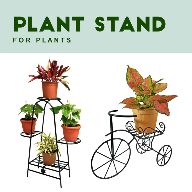 Plant Stand
