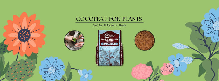 CocoPeat For Plants