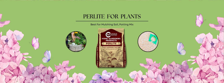 Perlite For Plants