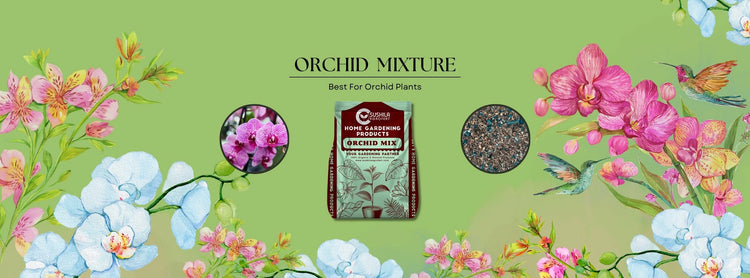 Orchid Mix