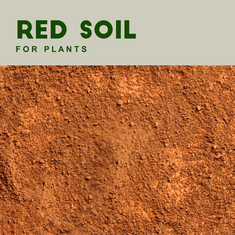 Red Soil For Plants