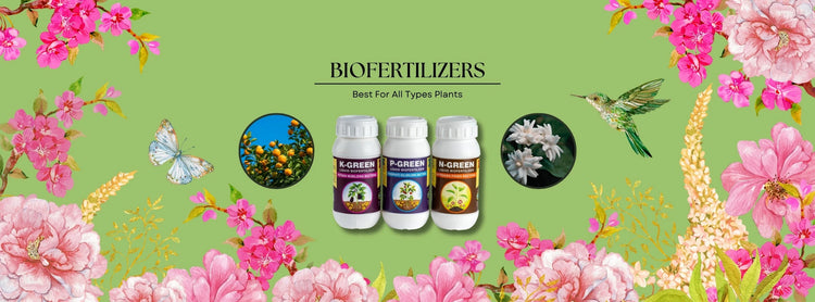 Biofertilizers