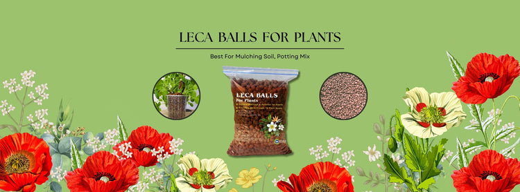 Leca balls