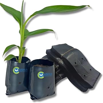 Plant Growing Bags 5X5 Inches