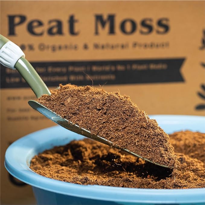 Peat Moss for Gardening 3Kg Bag