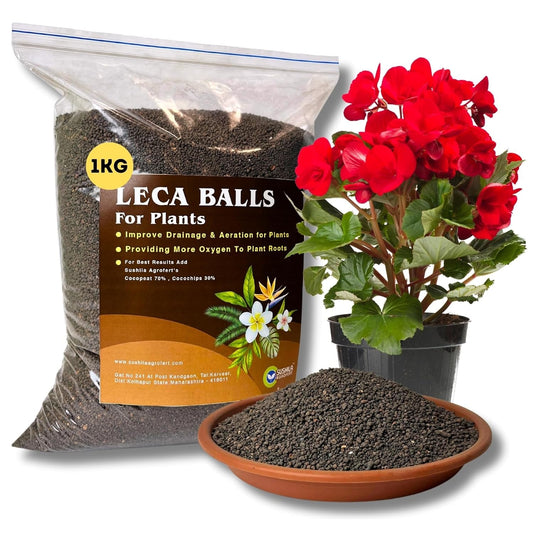 Sushila Agrofert 1Kg Original Clay Balls, Small Leca Balls for Plants Hydronts and Vertical Garden Potting Mixture Soil Mix Ready to Use