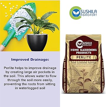 Perlite for Plants 1KG Potting Mixture