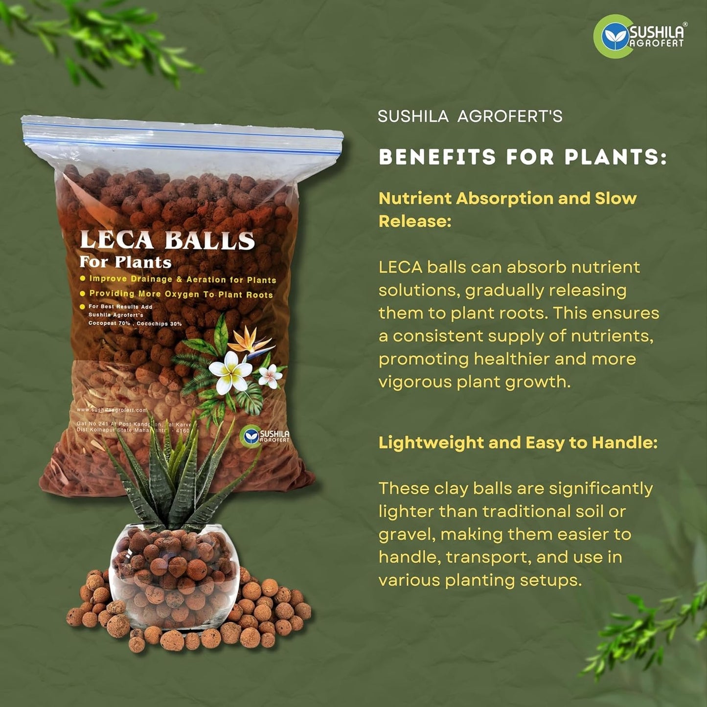 Sushila Agrofert 1 Kg Original Clay Balls, Leca Balls for Plants Hydronts, Lightweight Expanded Clay Aggregates (Leca) for Aeroponics, and Aquaponics, Aquaculture Plant