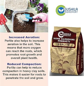 Perlite for Plants 1KG Potting Mixture