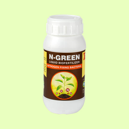 N GREEN: Nitrogen Fixing Bacteria, Plant Growth Booster