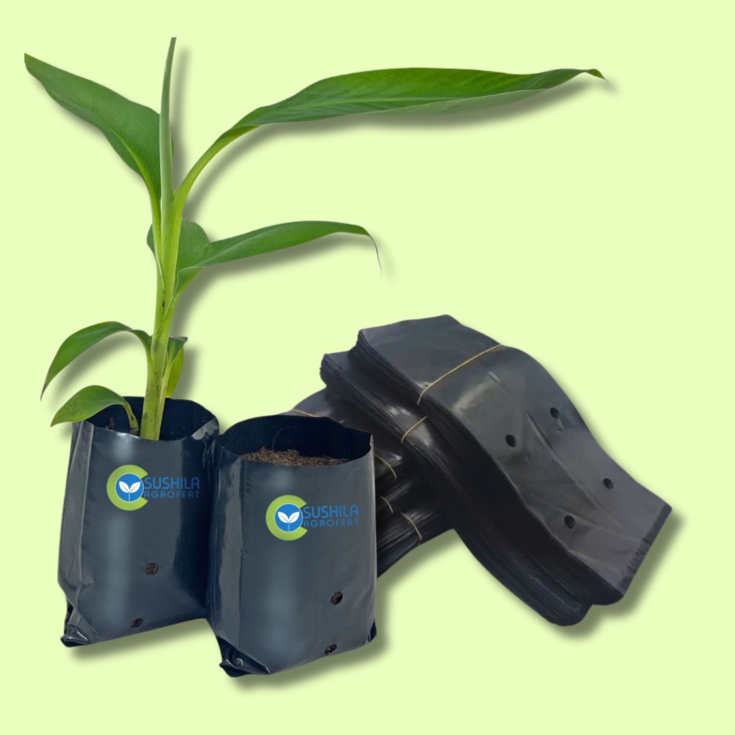 Plant Growing Bags 5X5 Inches