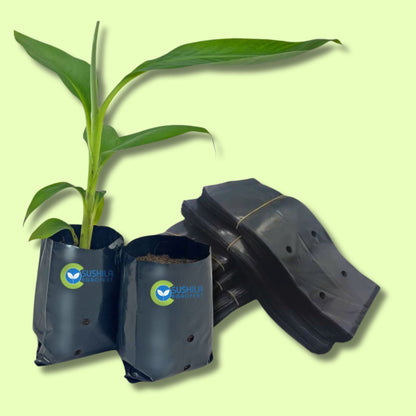 Plant Growing Bags 5X5 Inches