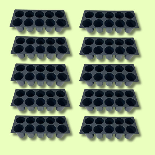 Seed Germination Trays: 10 Cavity Big Size