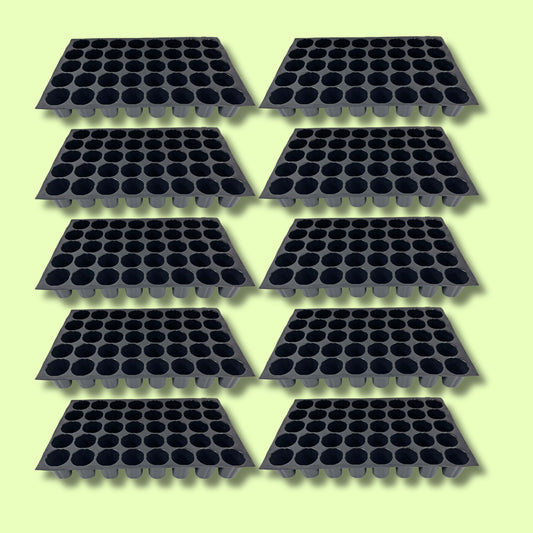 Seed Germination Trays: 40 Cavity Big Size