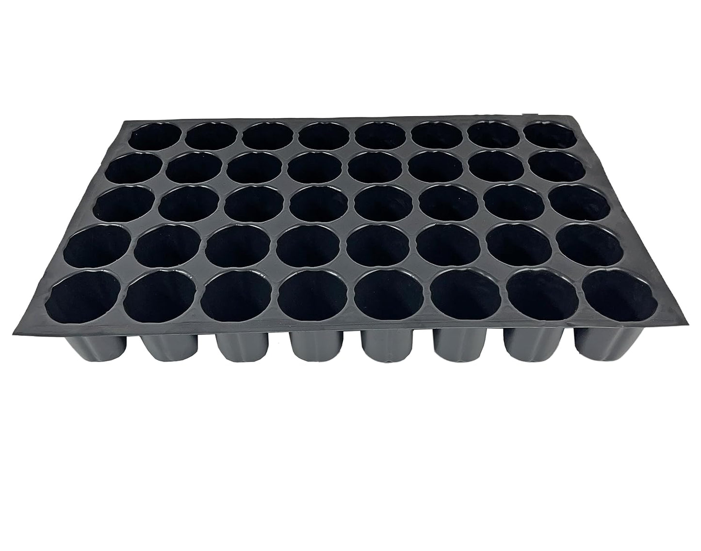 Seed Germination Trays: 40 Cavity Big Size