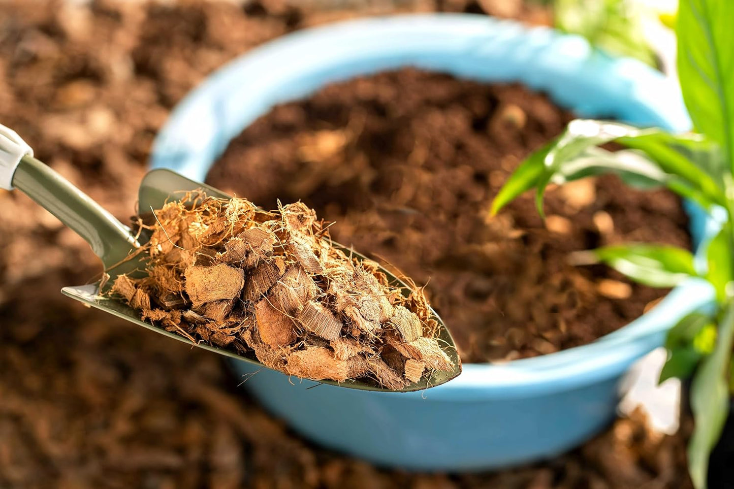 Coconut Husk for Plants 5Kg Bag