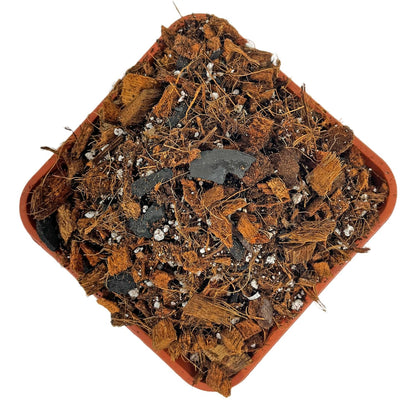 Orchid Mix 5Kg for Orchid Plants