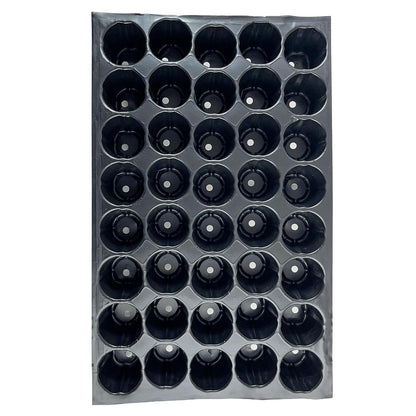 Seed Germination Trays: 40 Cavity Big Size