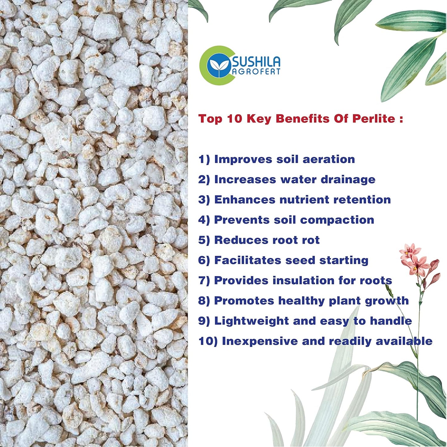 Perlite for Plants 1kg